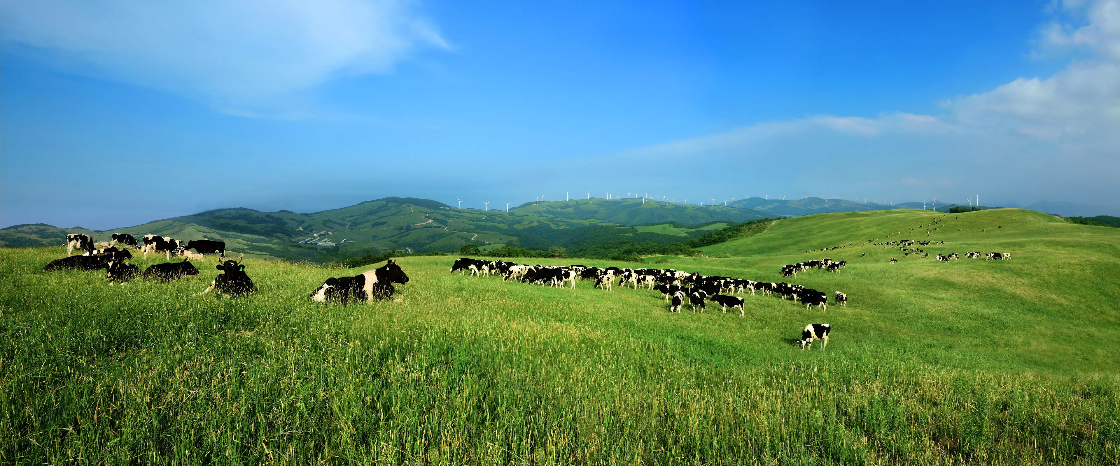 brand-core-round-hill-kv