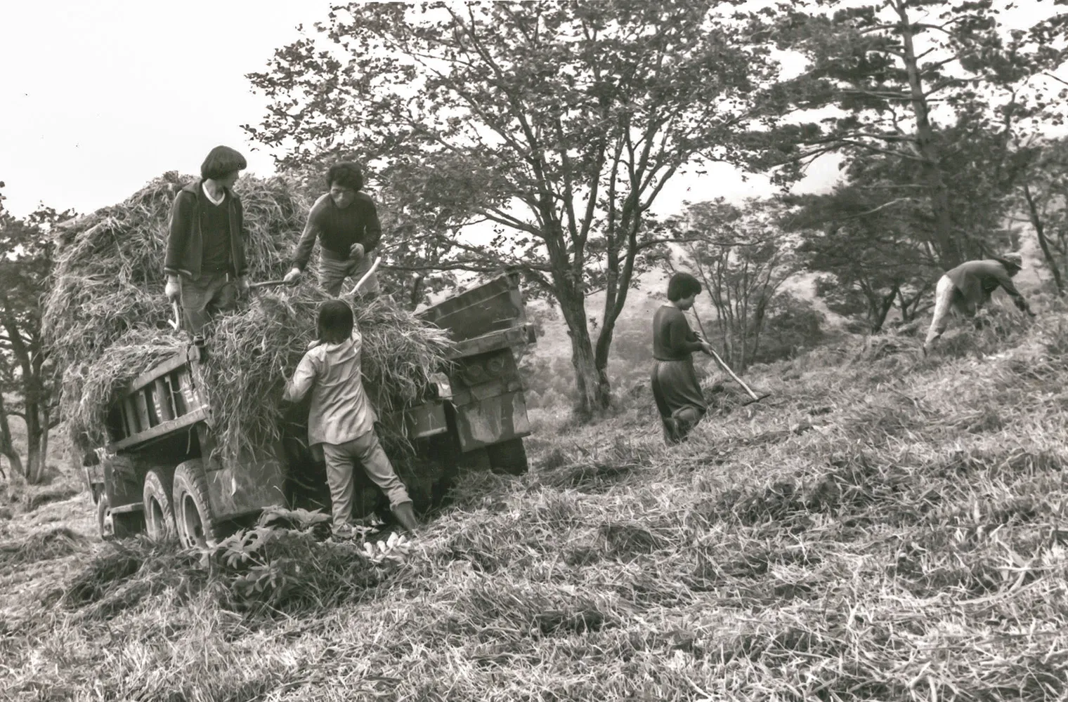 brand-core-round-hill-slide-01-02