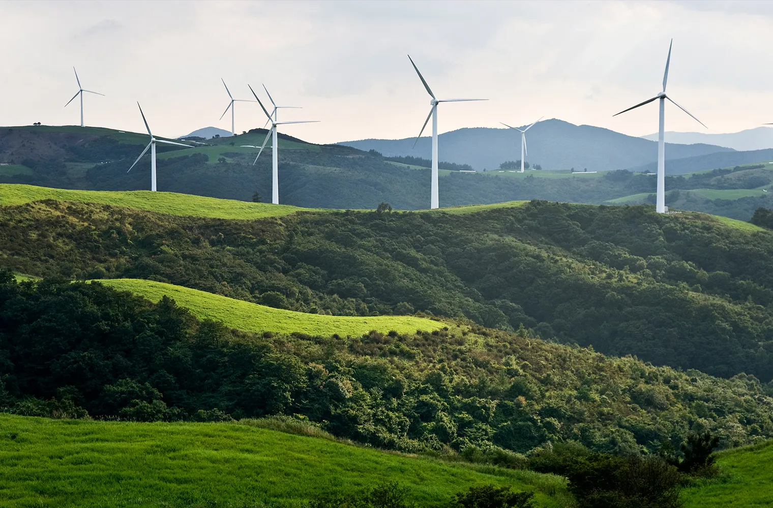 brand-core-round-hill-slide-02-01