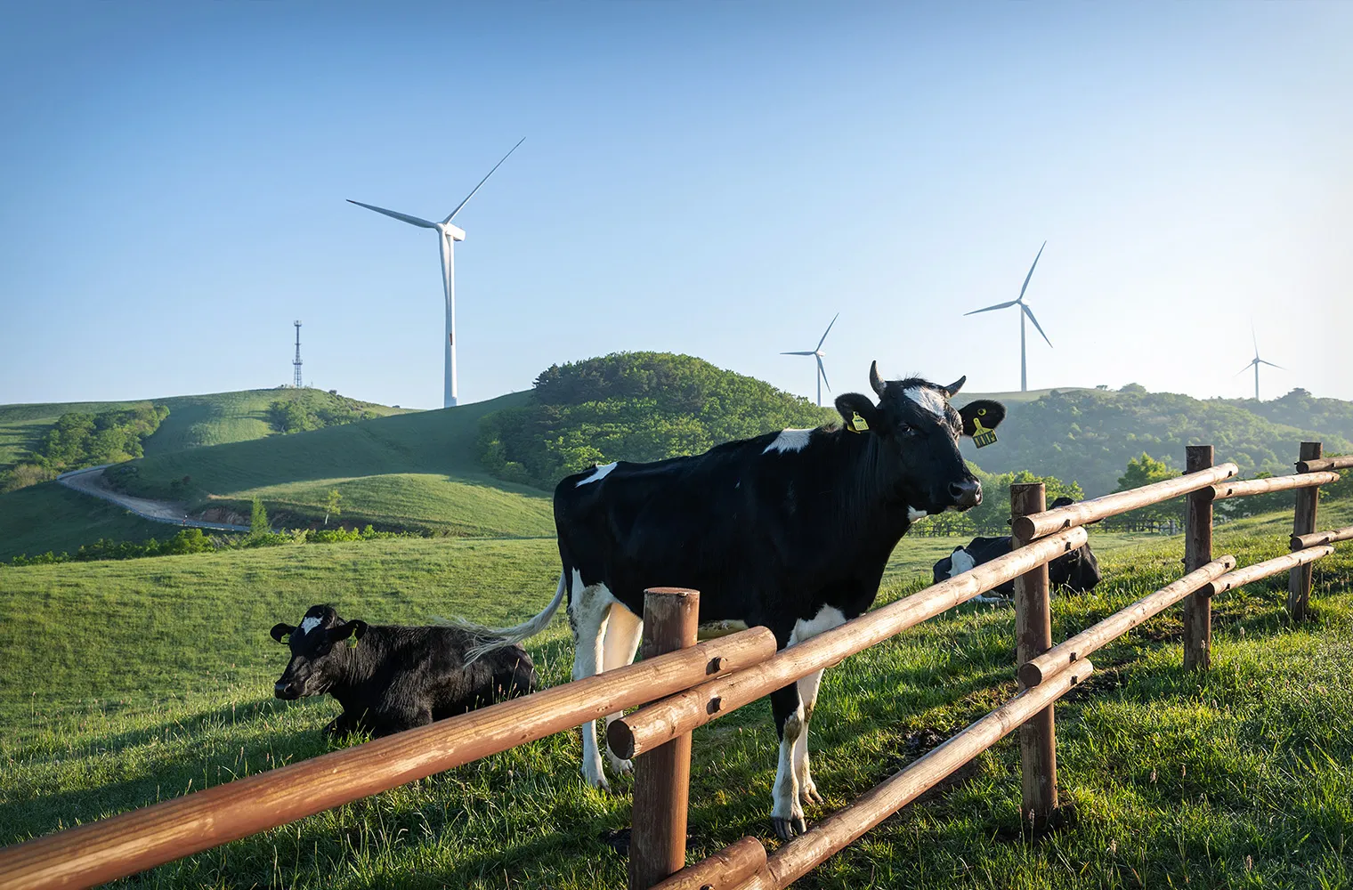 brand-core-round-hill-slide-02-02