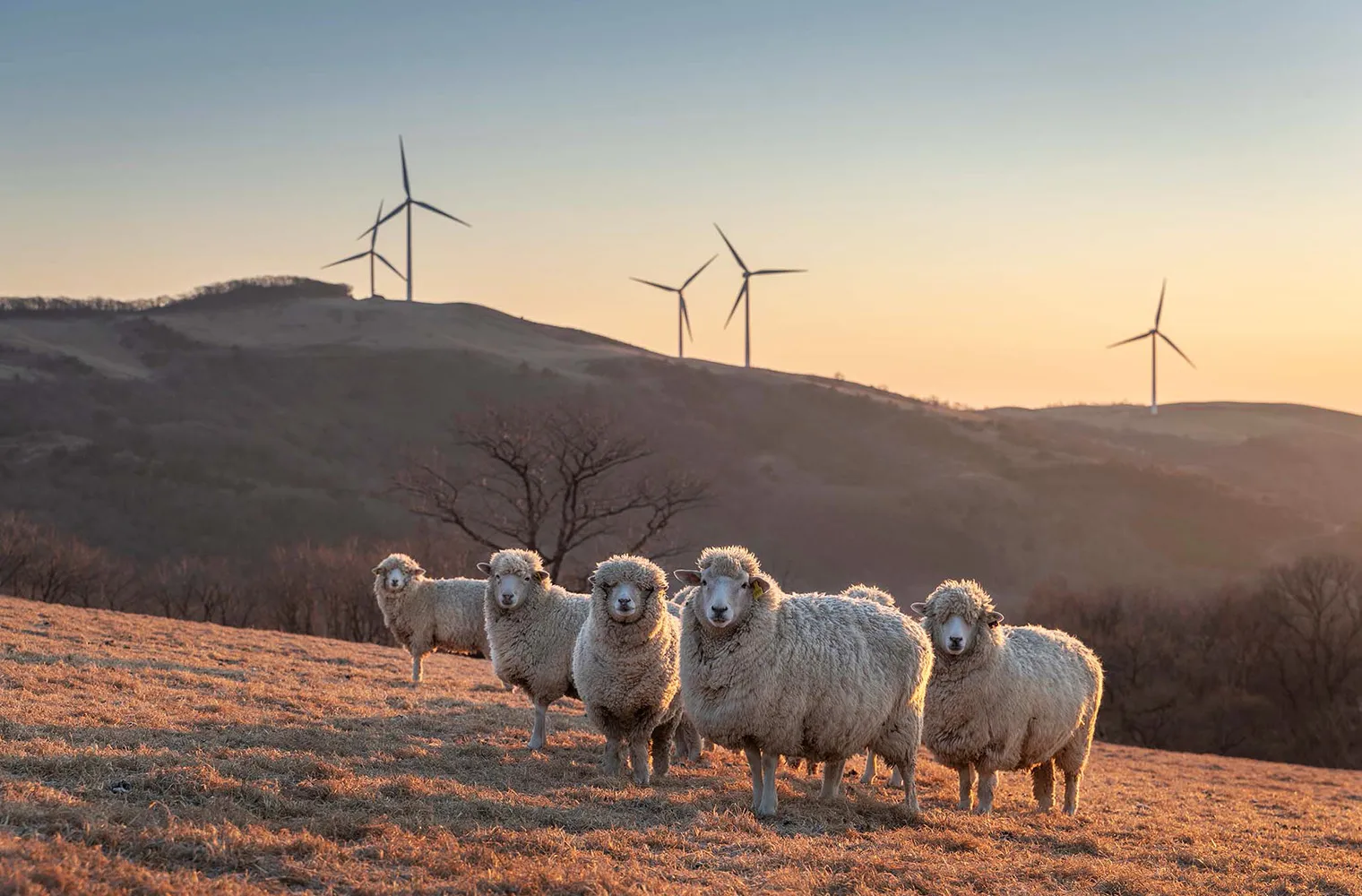 brand-core-round-hill-slide-02-04