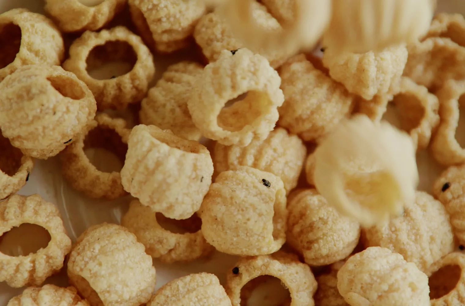 brand-historic-snacks-slide-02-01