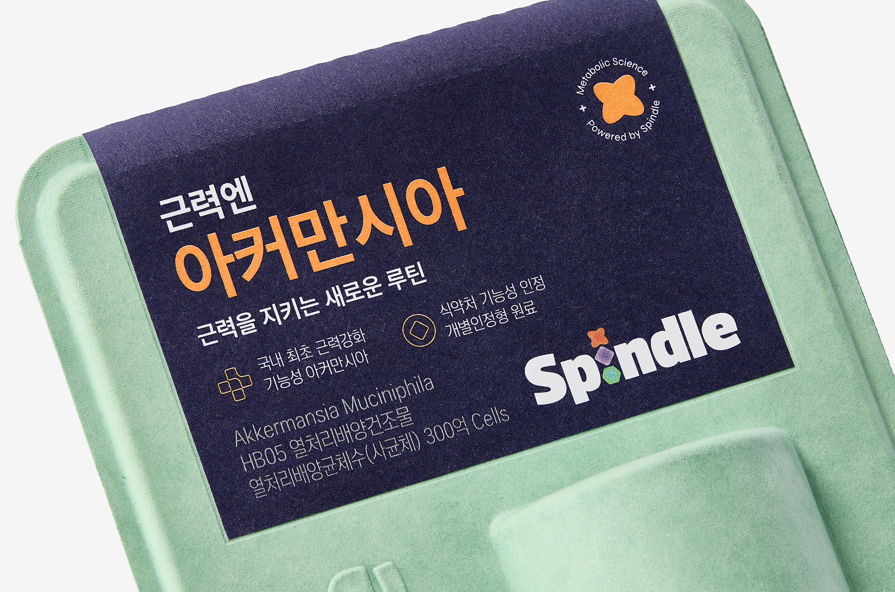 brand-rising-spindle-slide-01-03