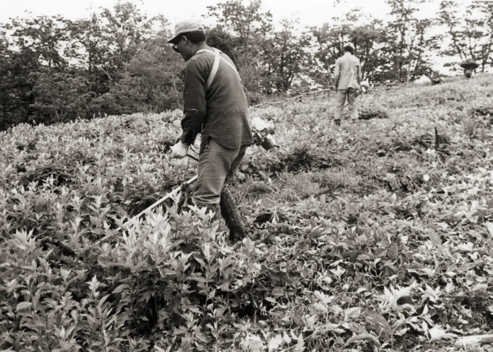 legacy-vision-samyang-03